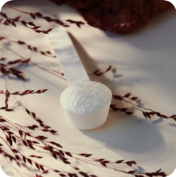 powder supplements